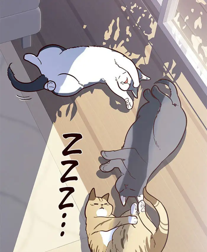 Página 43 del Manga