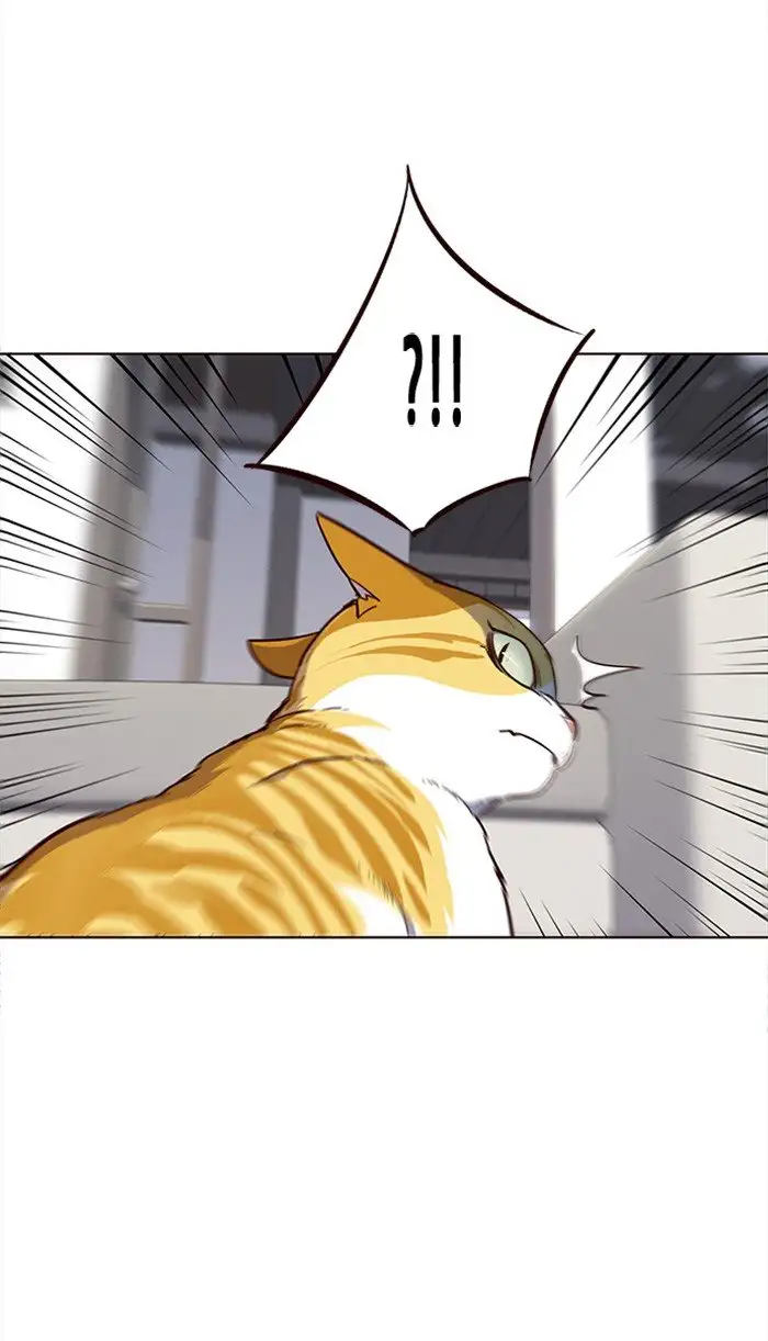 Página 50 del Manga