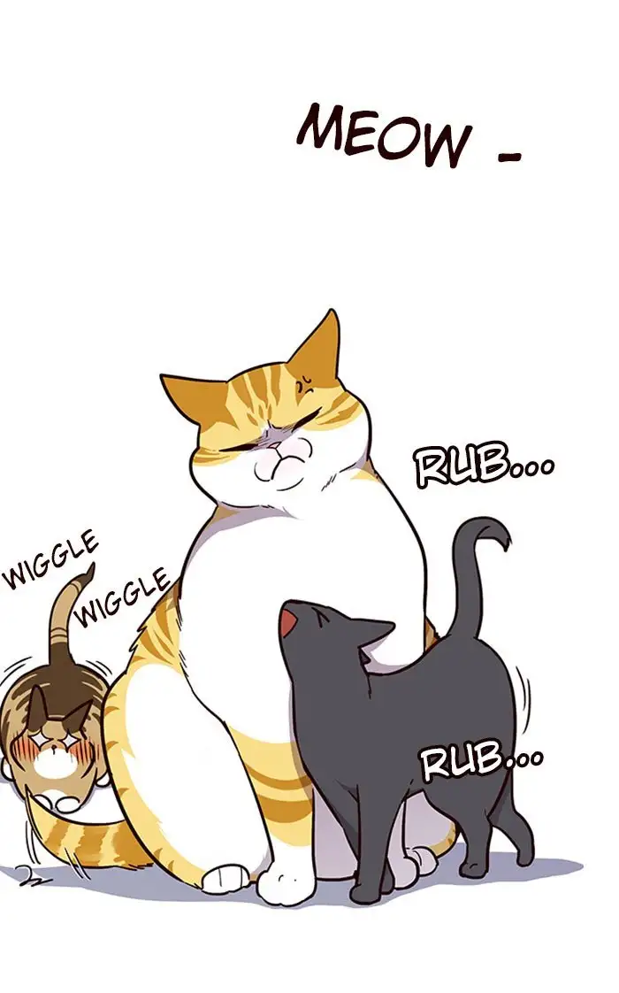 Página 49 del Manga