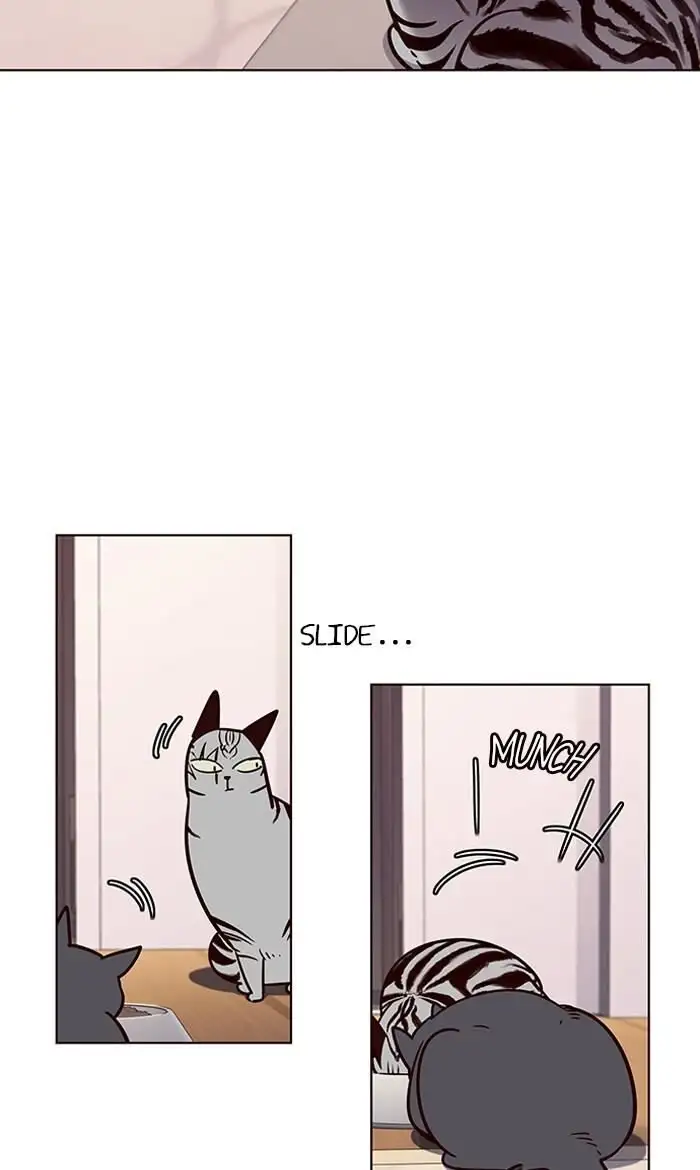 Página 60 del Manga