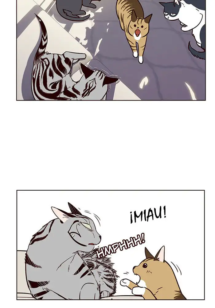 Página 67 del Manga