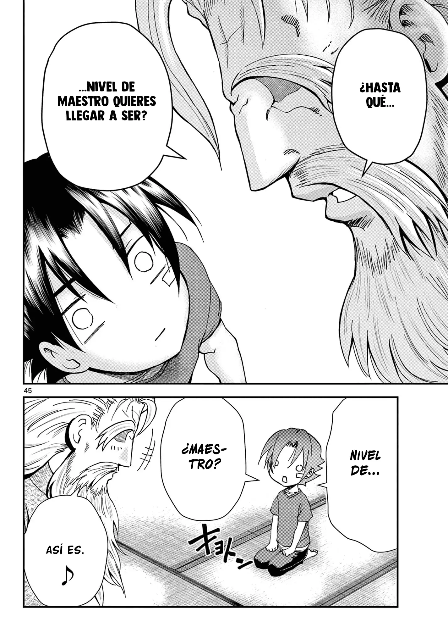 Página 45 del Manga